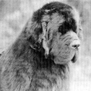 Meet your Posher, Brad